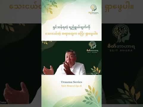 ရှင်သန်ရတဲ့ ရည်ရွယ်ချက်ကို သေးငယ်တဲ့ အရာတွေက စပြီး ရှာ ဖွေပါ။