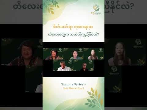 စိတ်ဒဏ်ရာ ကုစားရာမှာ တိလေးတွေက ဘယ်လိုကူညီနိုင်လဲ